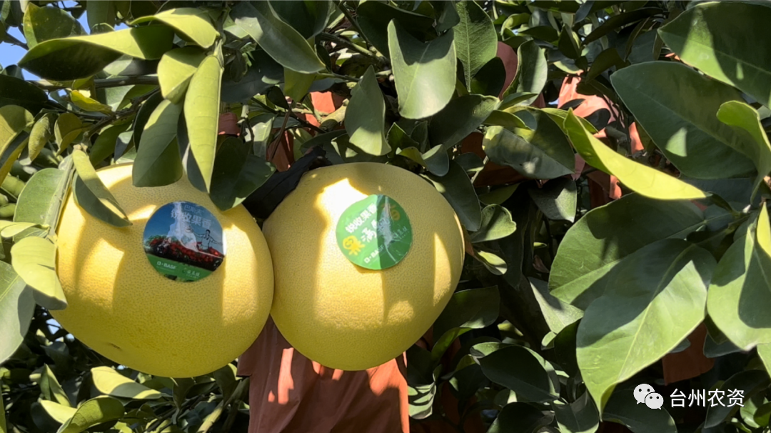 1675663488233920.png 640 (38).png