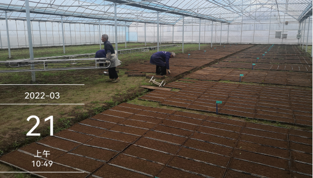 臺州農(nóng)資 臺州農(nóng)資