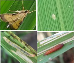 臺州農(nóng)資 臺州農(nóng)資