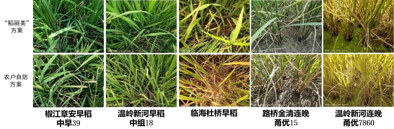 臺州農(nóng)資 臺州農(nóng)資